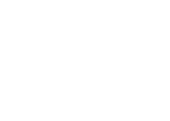 ADJ Electric